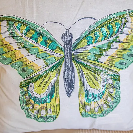 Palma De Mar * 内尔哈